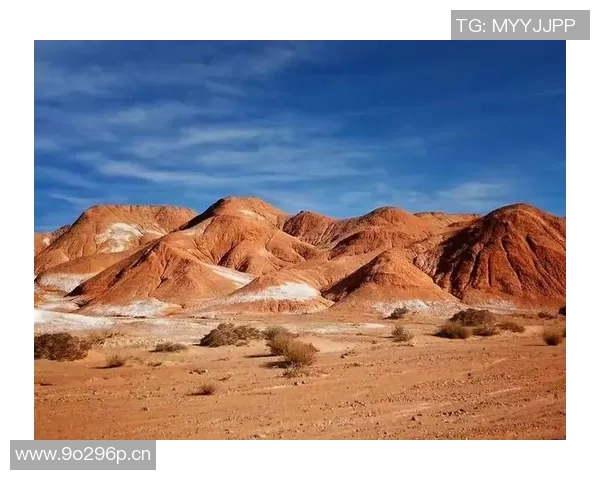 武汉极限运动队的耐力挑战与激情探秘之旅 武汉极限运动队的耐力挑战与激情探秘之旅